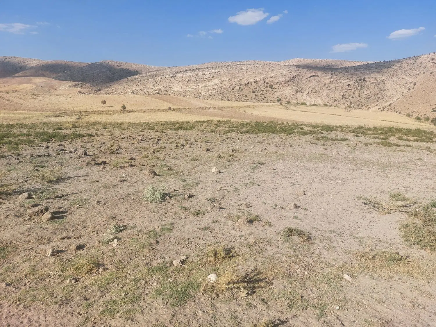 زمین