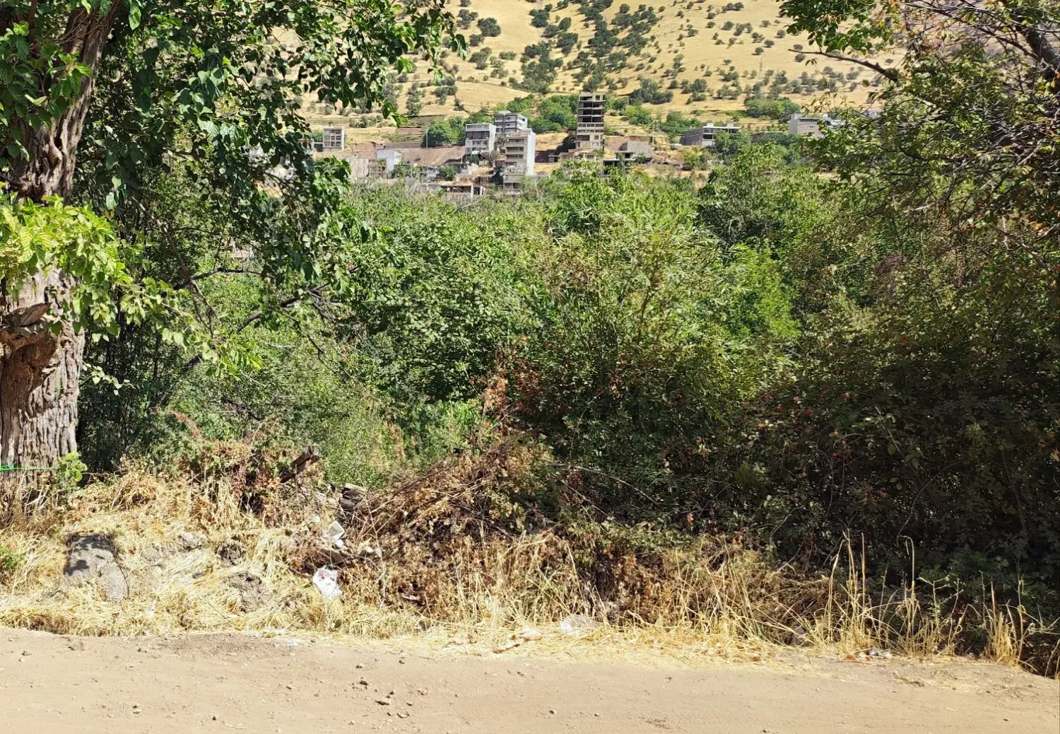 فروش زمین باغ