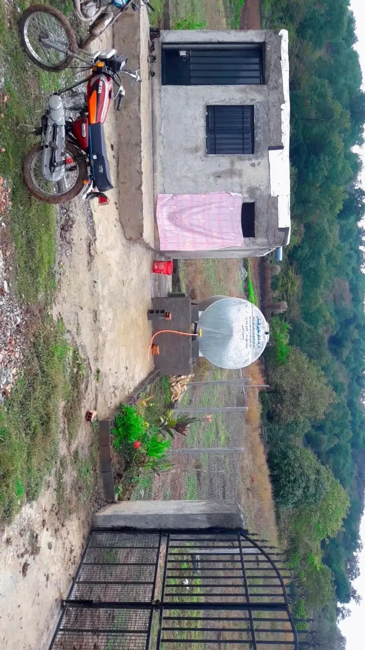 زمین باغی