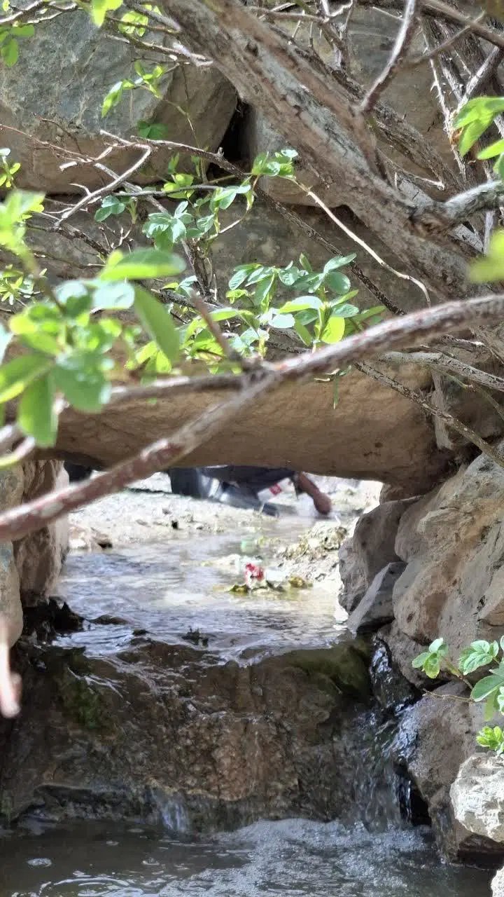 باغ و چشمه