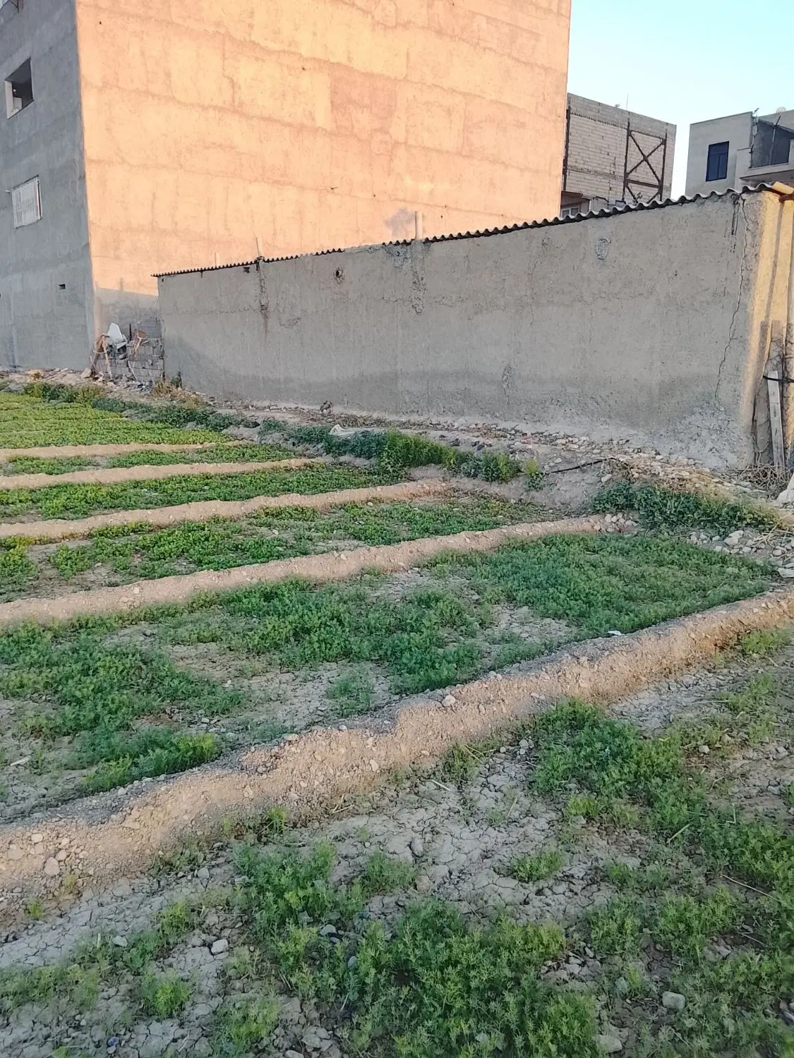 فروش ملک کلنگی