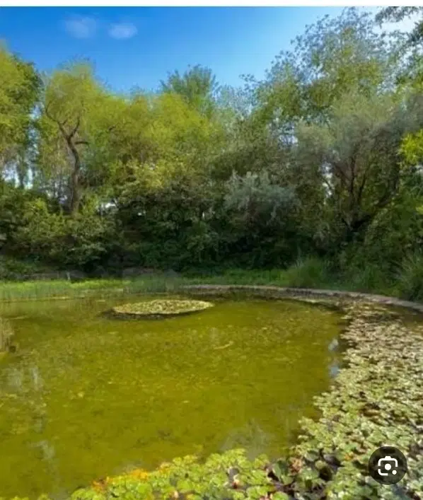 باغ خطایلو