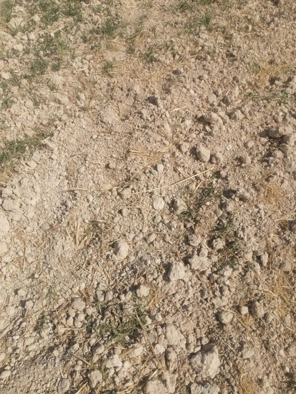 اجاره زمین کشاورزی