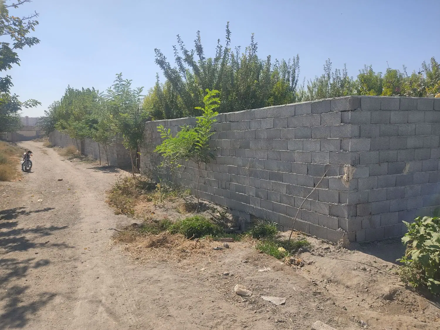باغ فروشی