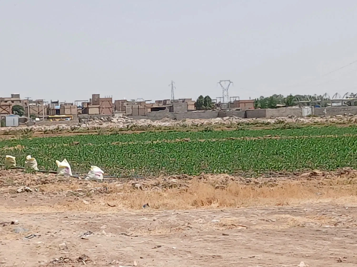 زمین ۳۰۰متری مناسب باغچه محله رسالت
