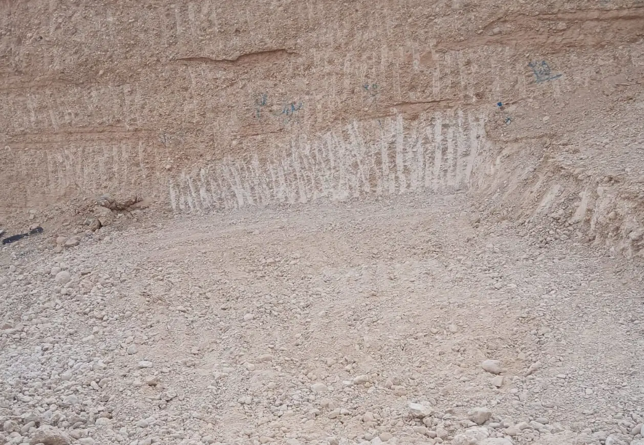 زمین