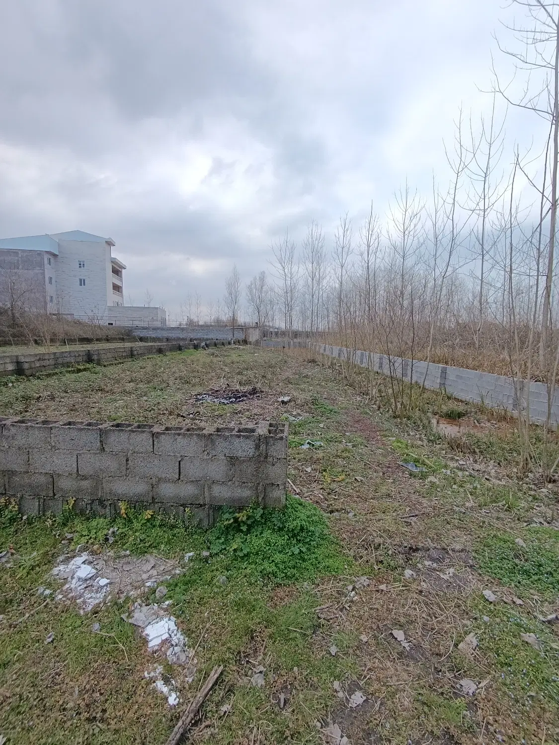 زمین ساحلی زیبا کنار کاسپین بندر انزلی