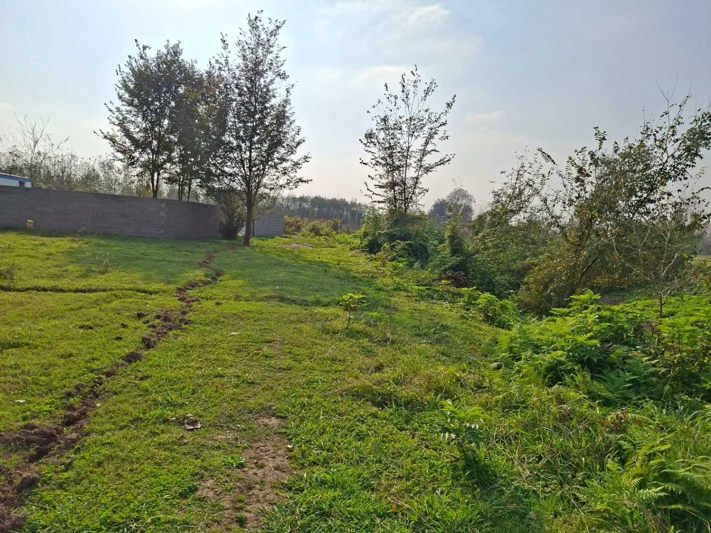 زمین باغ ویلا گیلان رشت خمام