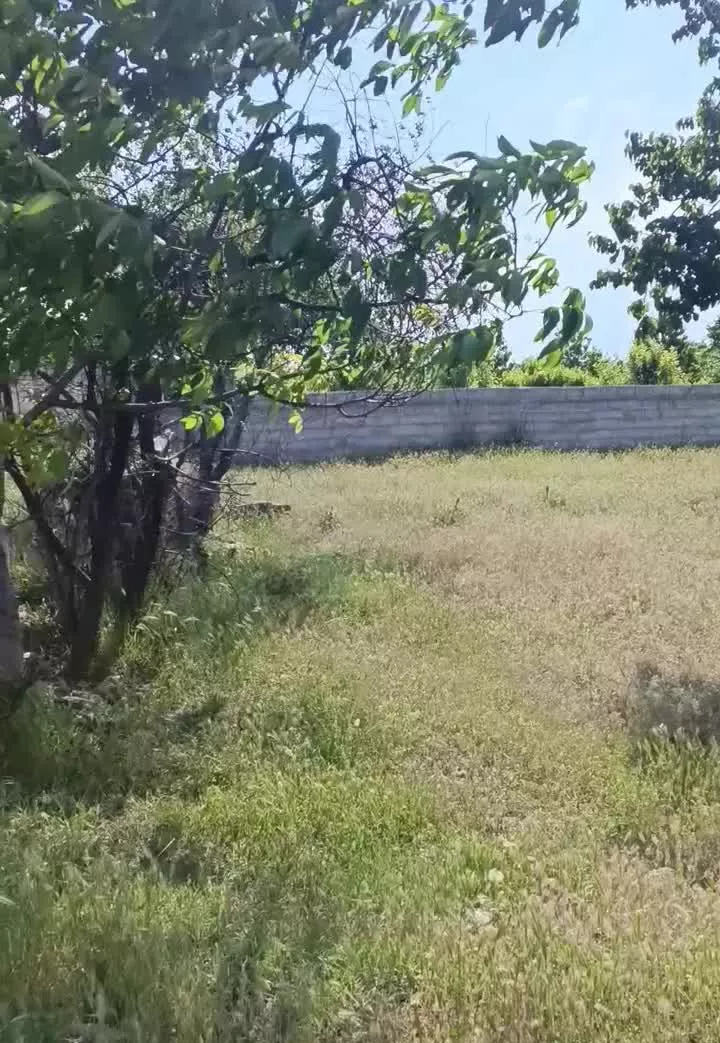 زمین کشاورزی در روستای نصیر آباد( نصروا)
