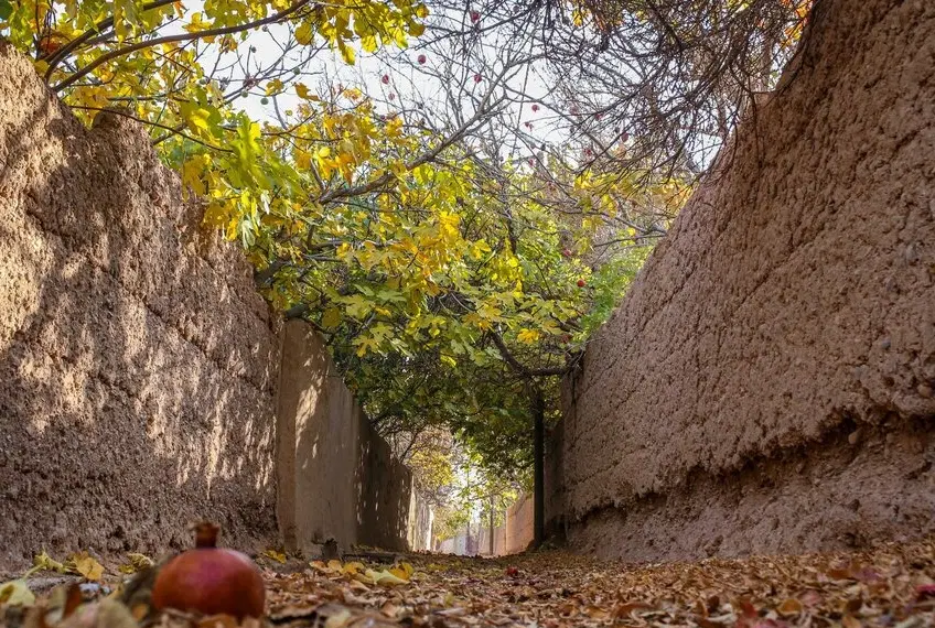 ۱۱ هزار متر باغ در فاروق