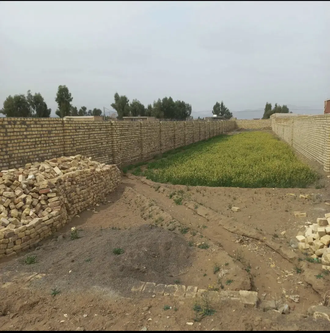 زمین قواره مربع