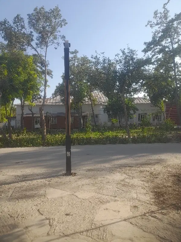 همخونه