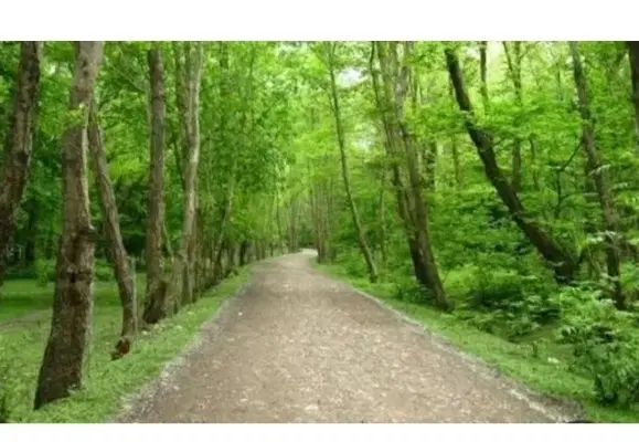 فروش زمین