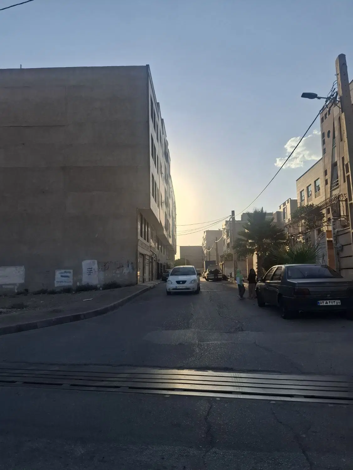 174متر_سند تک برگ