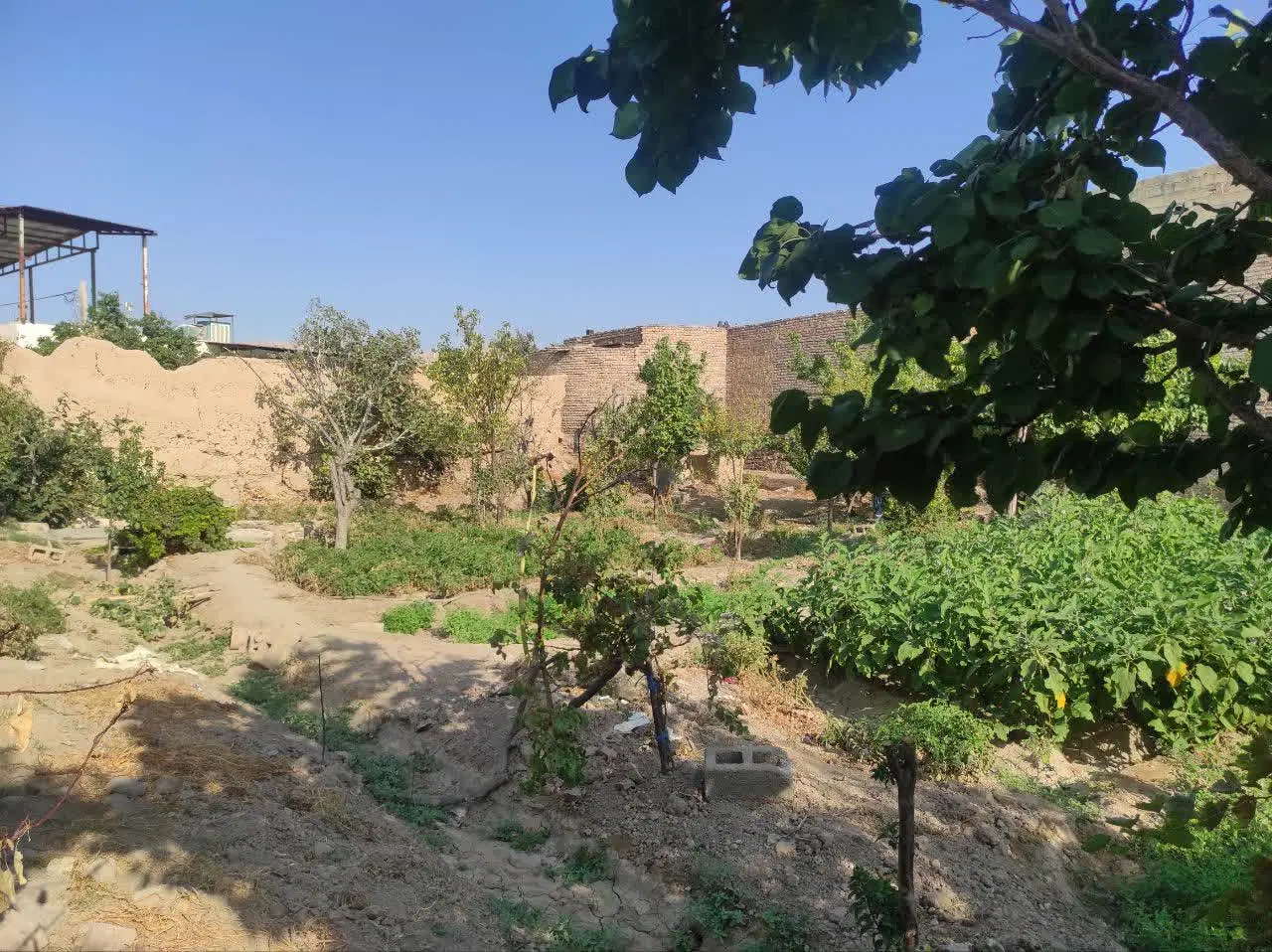 فروش باغ