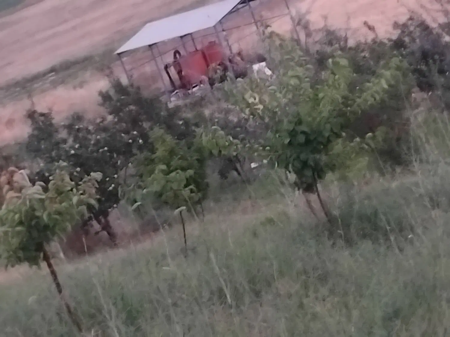 باغ