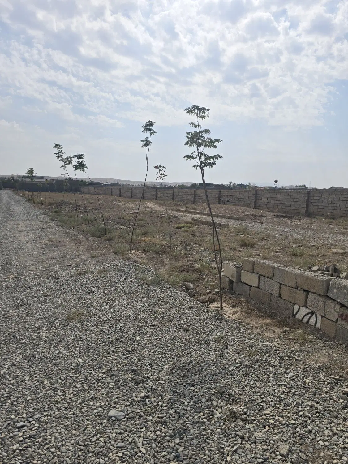 زمین ۲۵۰متری کاسبی لوکیشن خفن آب برق گاز