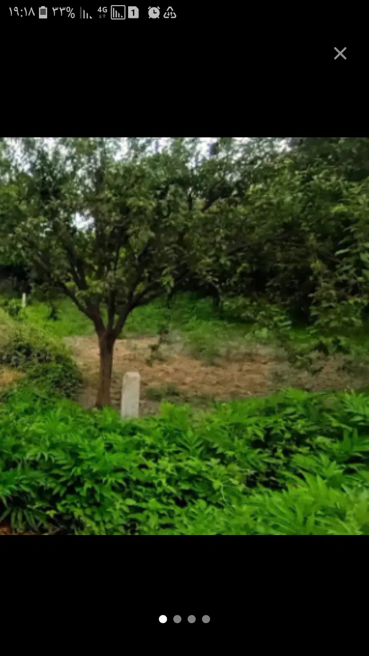 فروش زمین باغی کنارجاده اصلی روستای شموشک علیا
