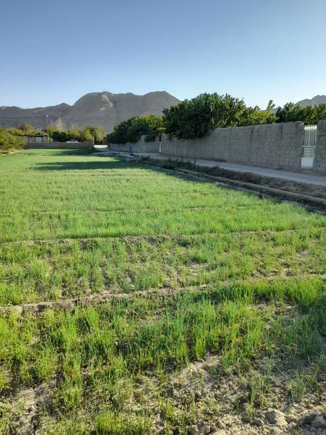 زمین فروشی