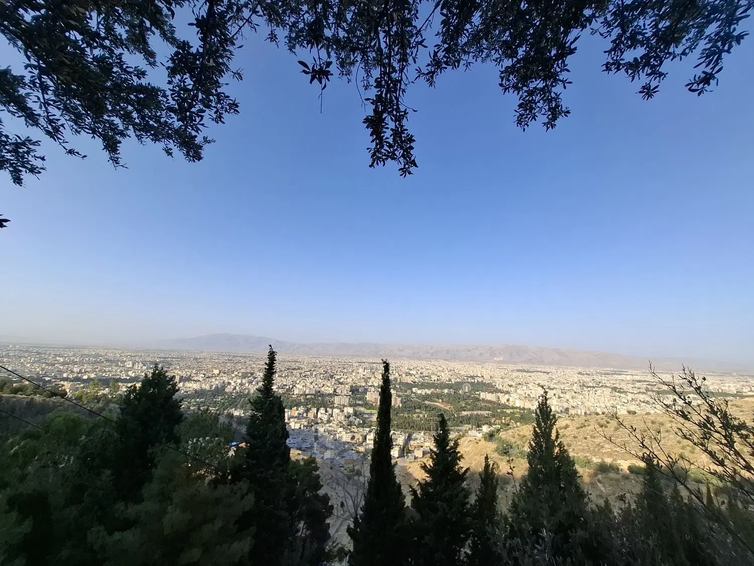 فروش زمین . مسنی شاپورجان . محمود آباد