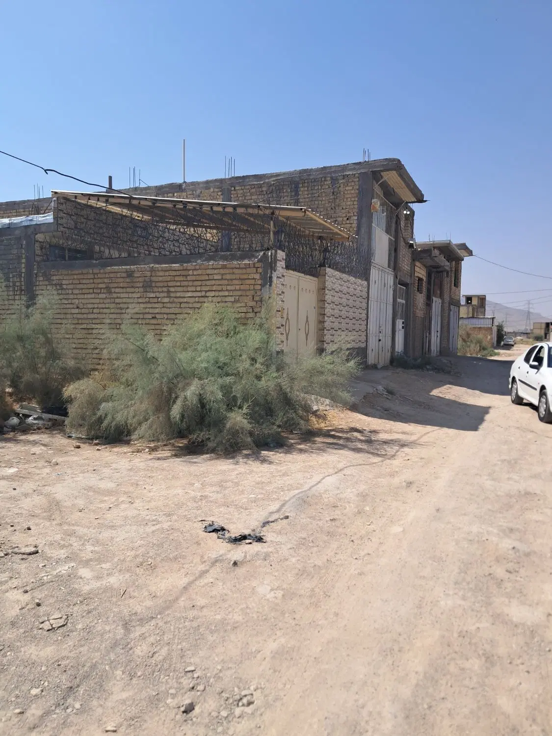 زمین کرونی