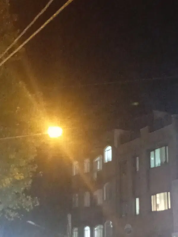 همخونه
