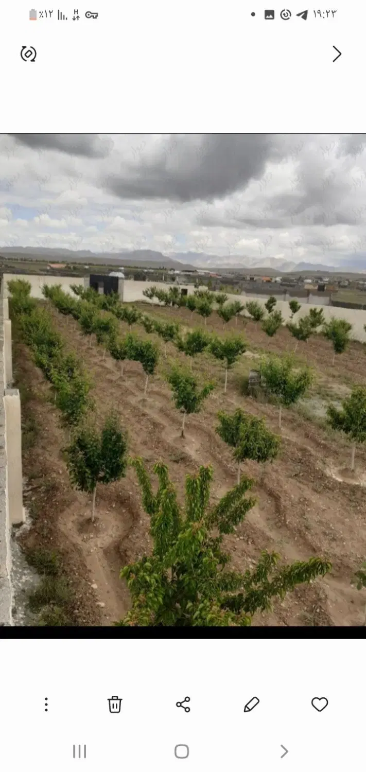 زمین ویلای جاده کلات منطقه سرسبز اندروخ