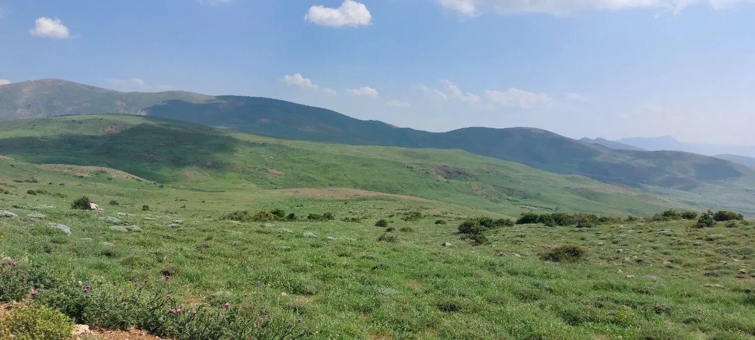 فروش زمین با کاربری باغی به متراژ حدود ۱۱۰۰متر