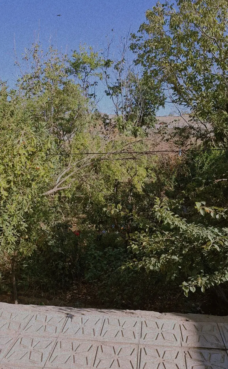 اجاره منزل ویلایی ماهان