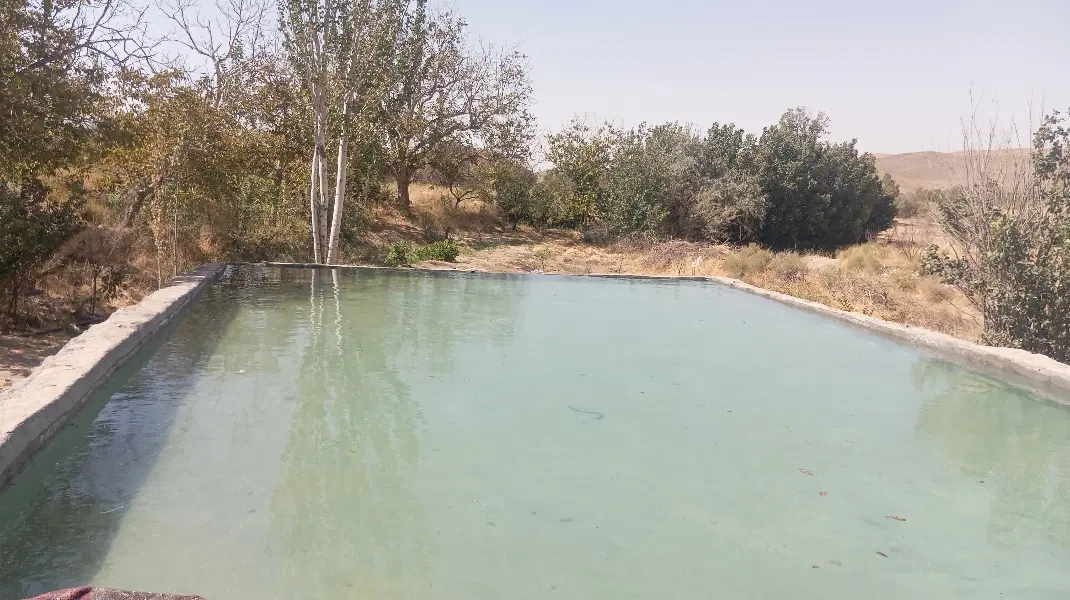 زمین و باغ