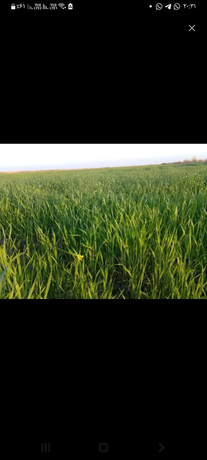 اجاره زمین کشاورزی