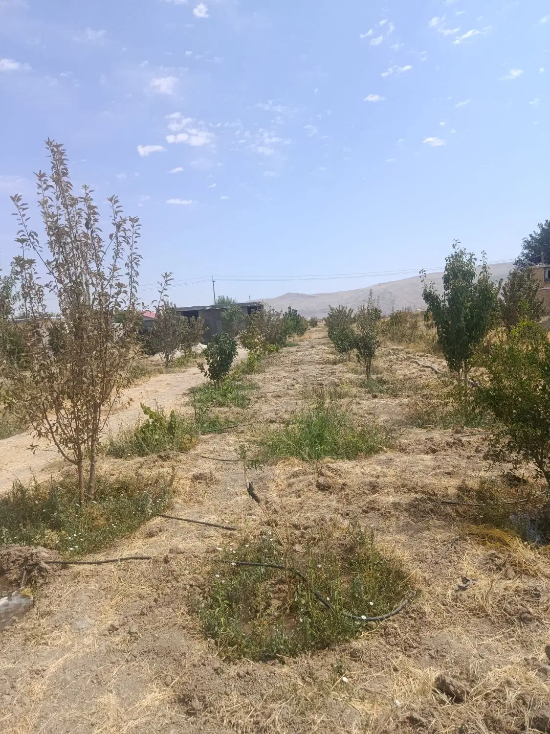 فروش باغ شهری 5کیلومتری مرودشت