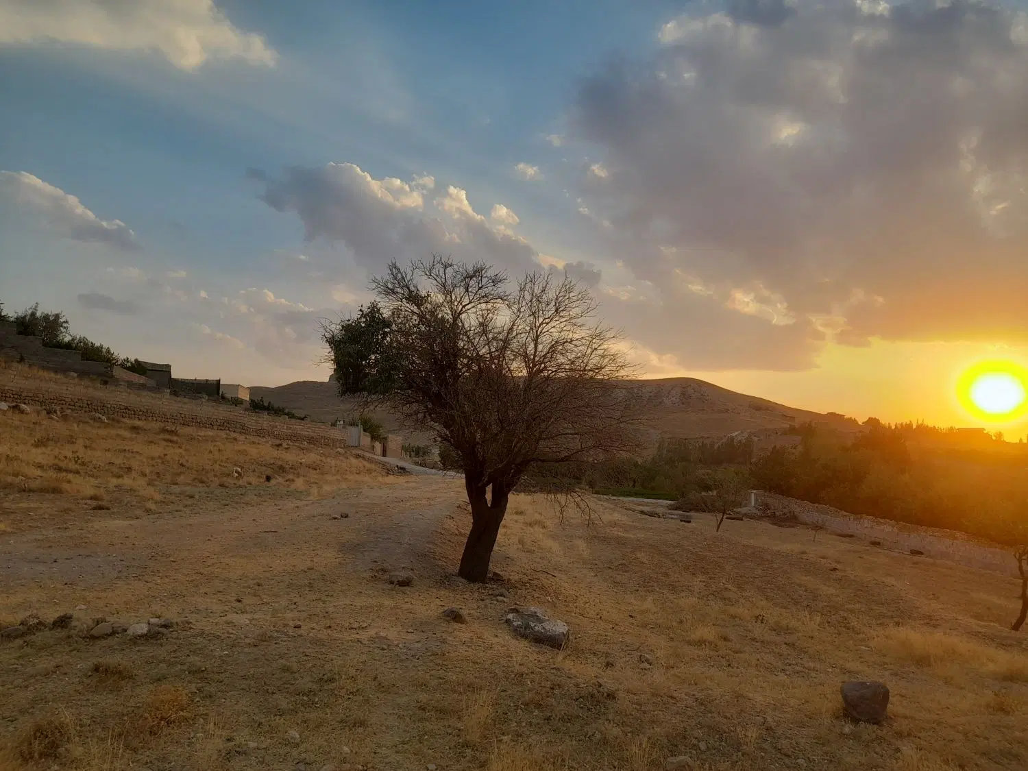 فرش قطعه زمین کشاورزی و ویلا در چوان