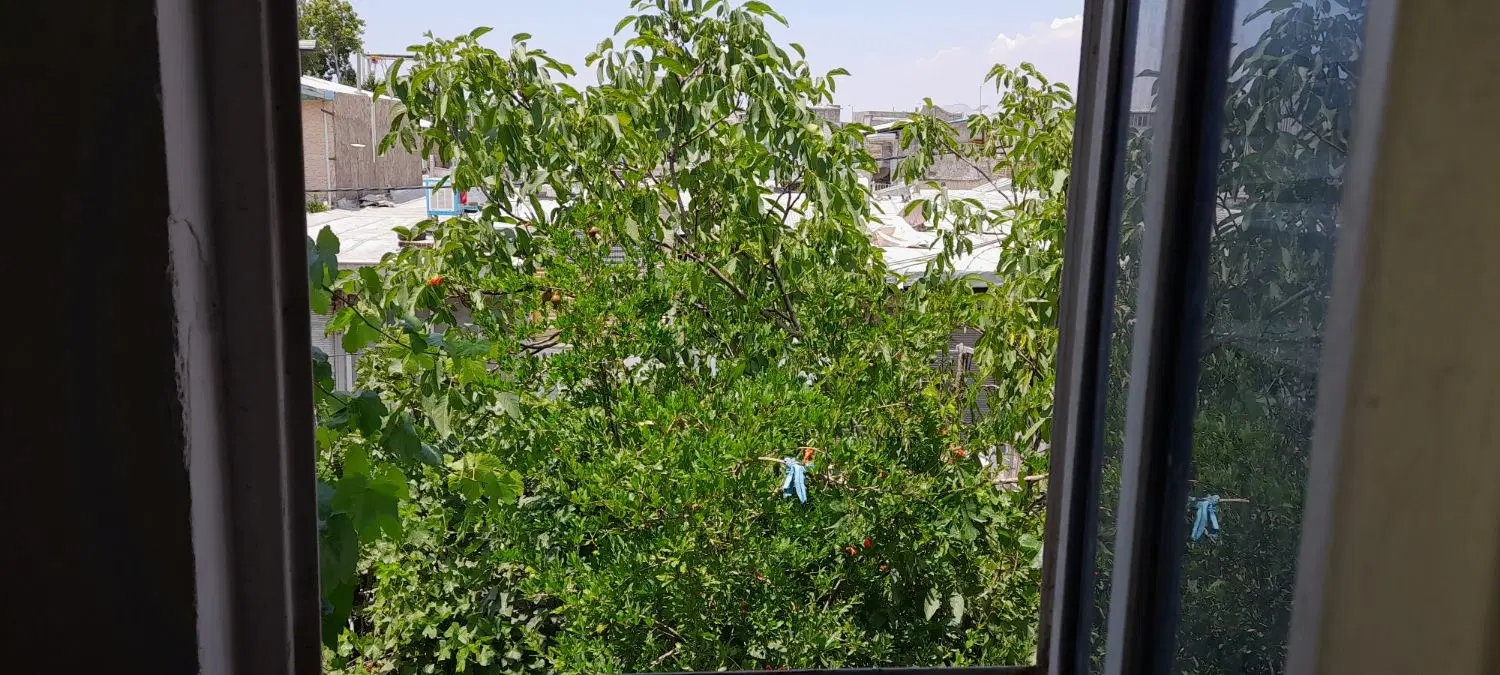 اجازه خانه ای در نظراباد (سیدجمالدین)