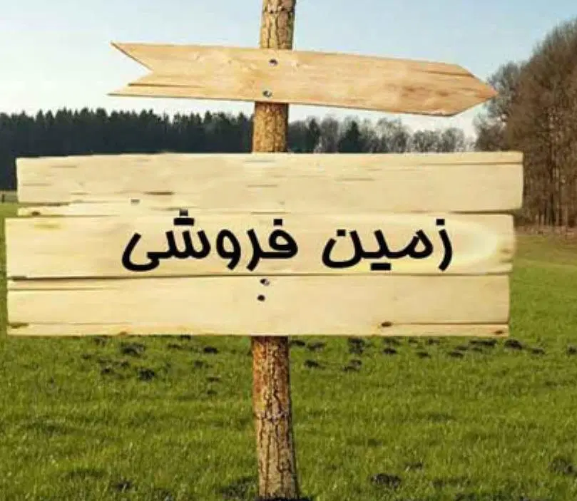 زمین چشمه سفید
