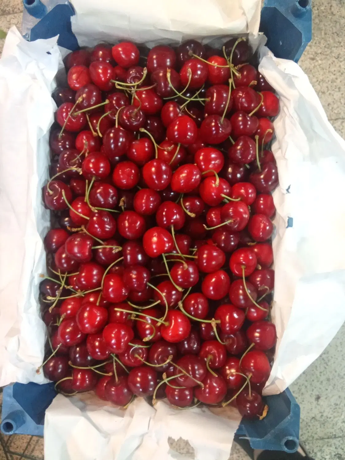 اجاره میز سبزی
