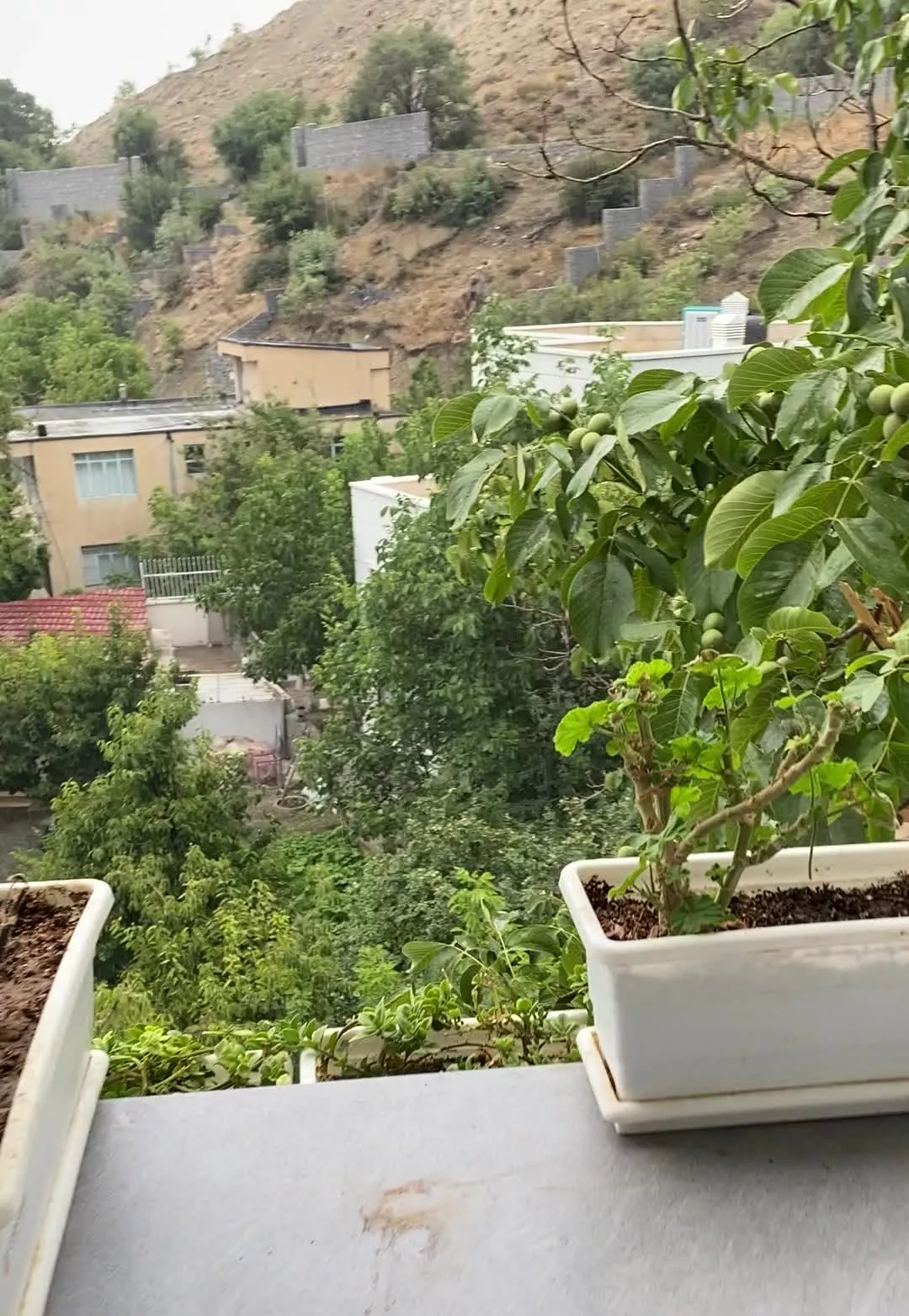 ۴۸ متری تک واحد مناسب طبیعت پسندان