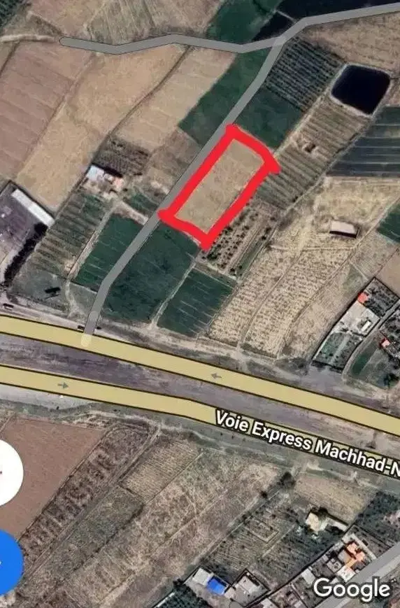 زمین کشاورزی اراضی ادگ بغل اتوبان