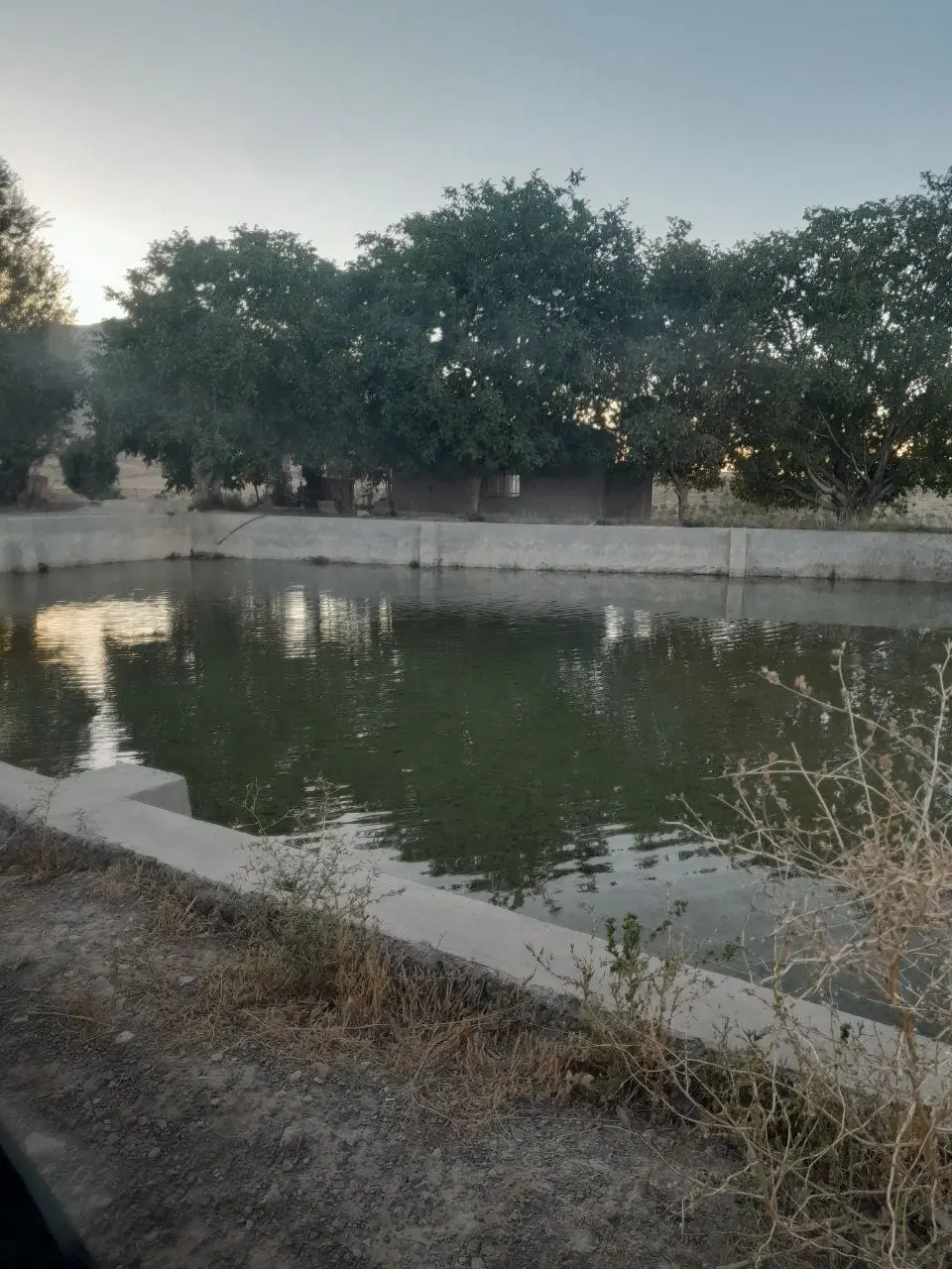 زمین کشاورزی