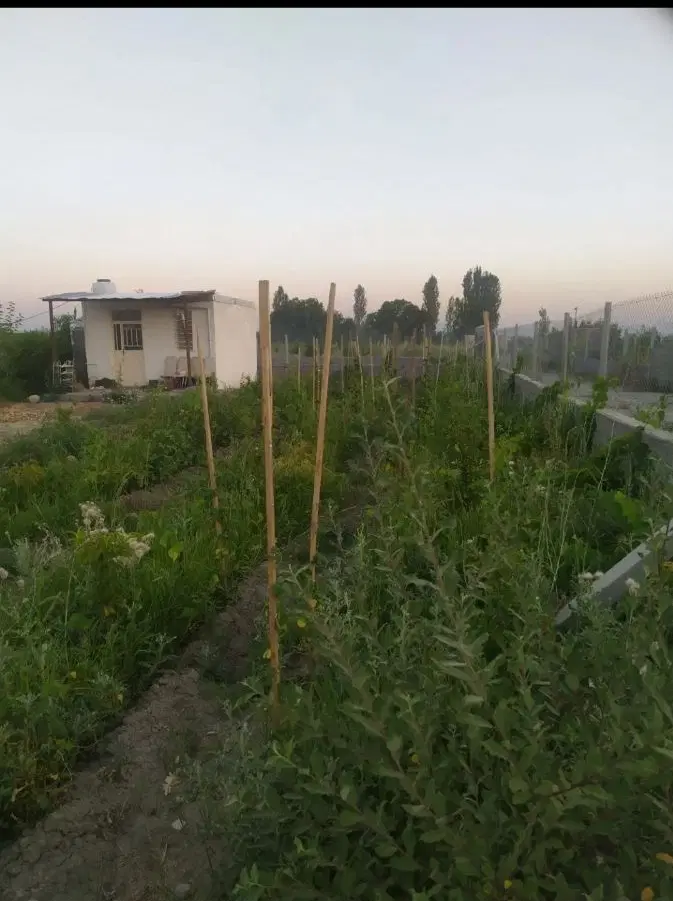 ویلا باغ با امکانات