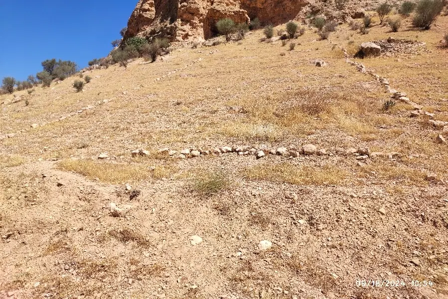زمین فروشی