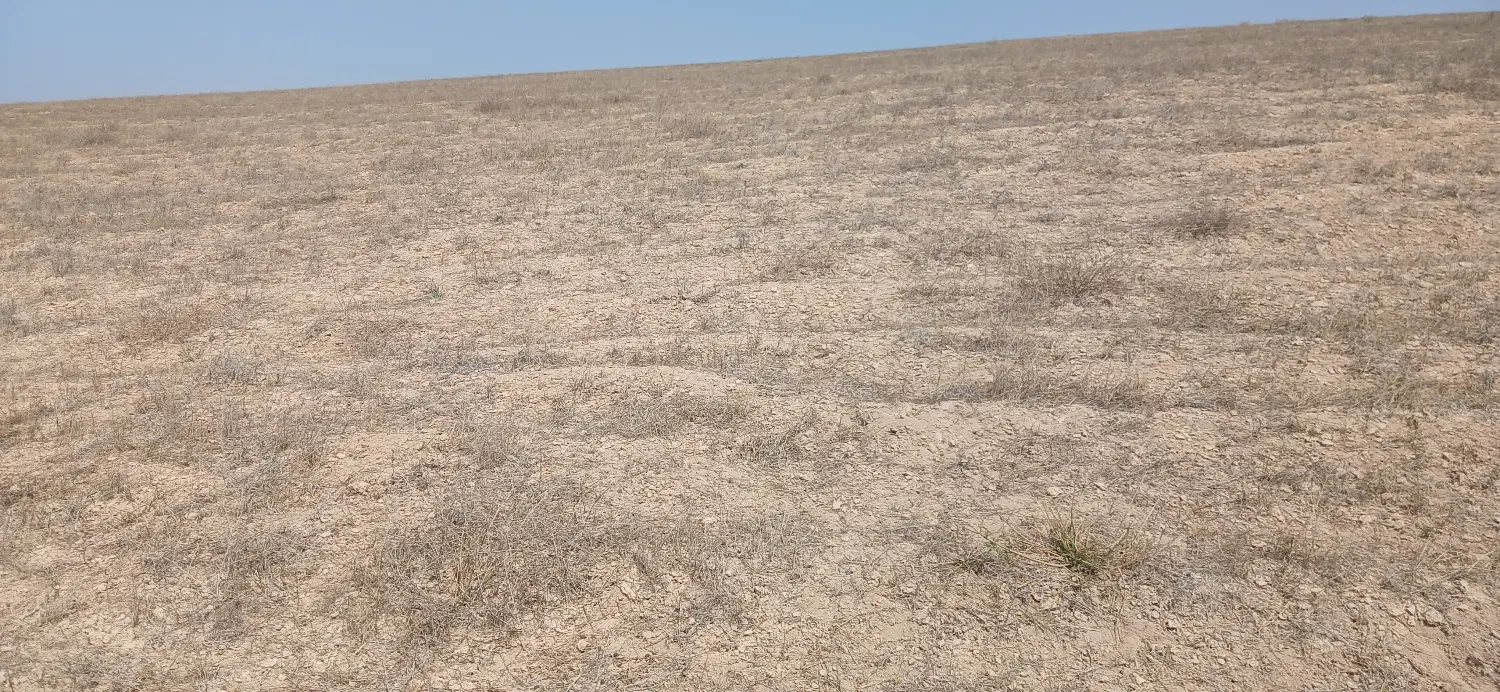 فروش ملک