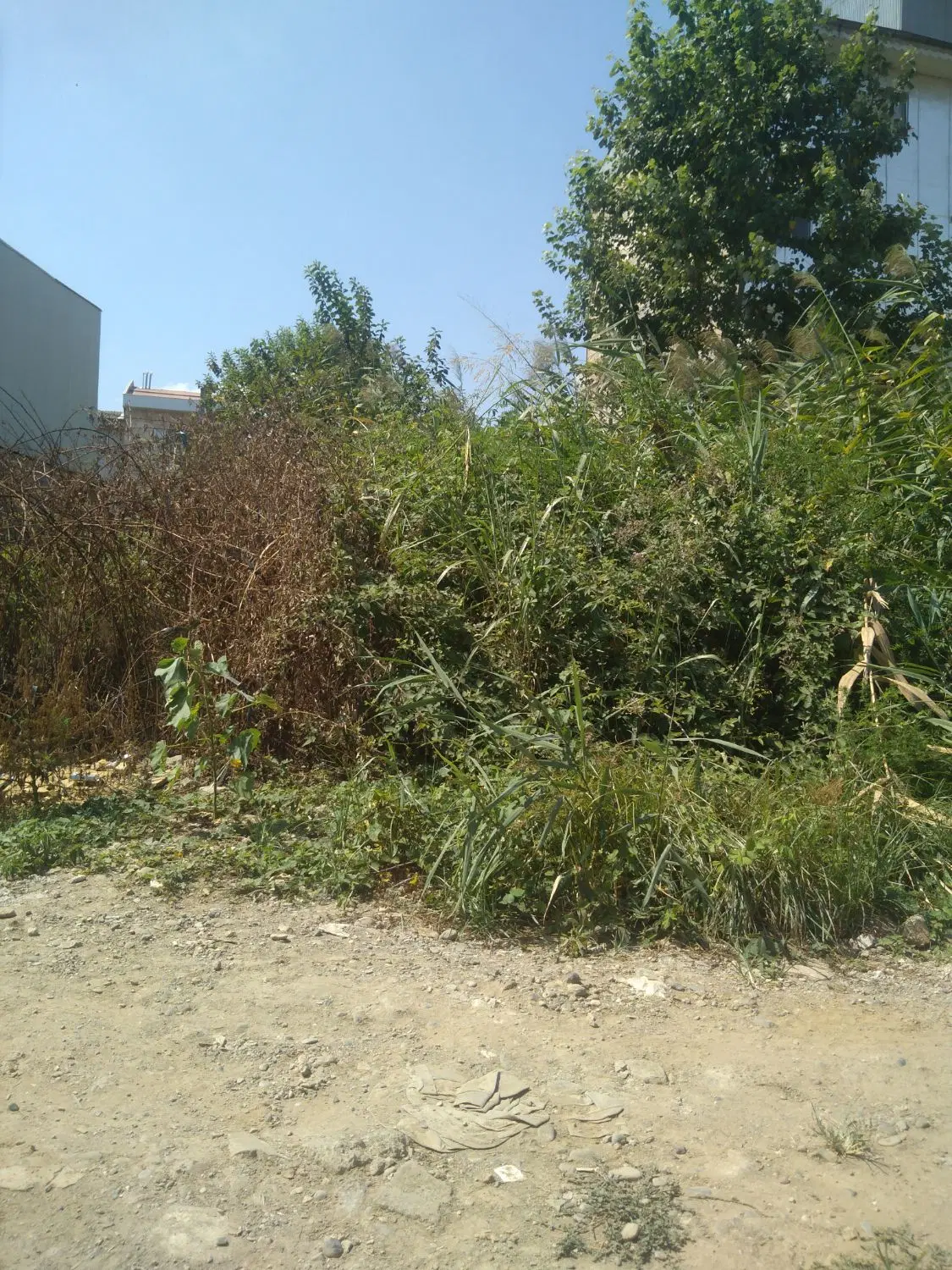 زمین مناسب برای ساخت وسرمایه گذاری(املاک معتمدی)