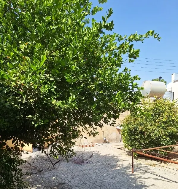 آزادگان