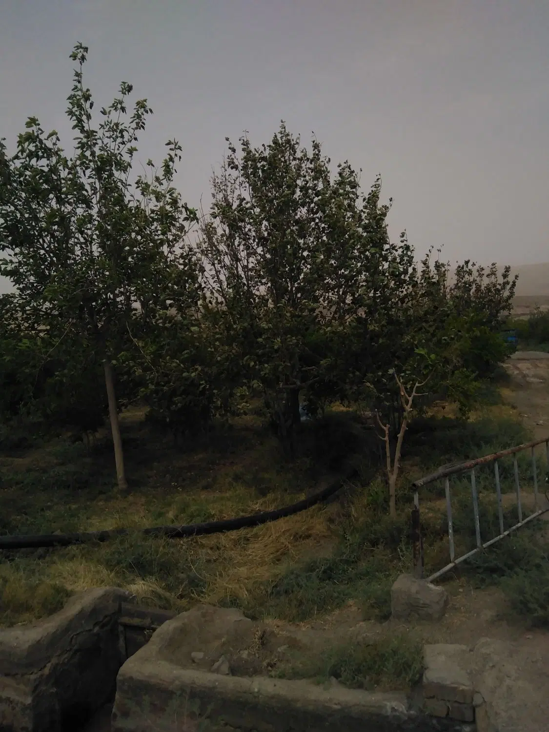 باغ خدیجه خاتون همراه با آب