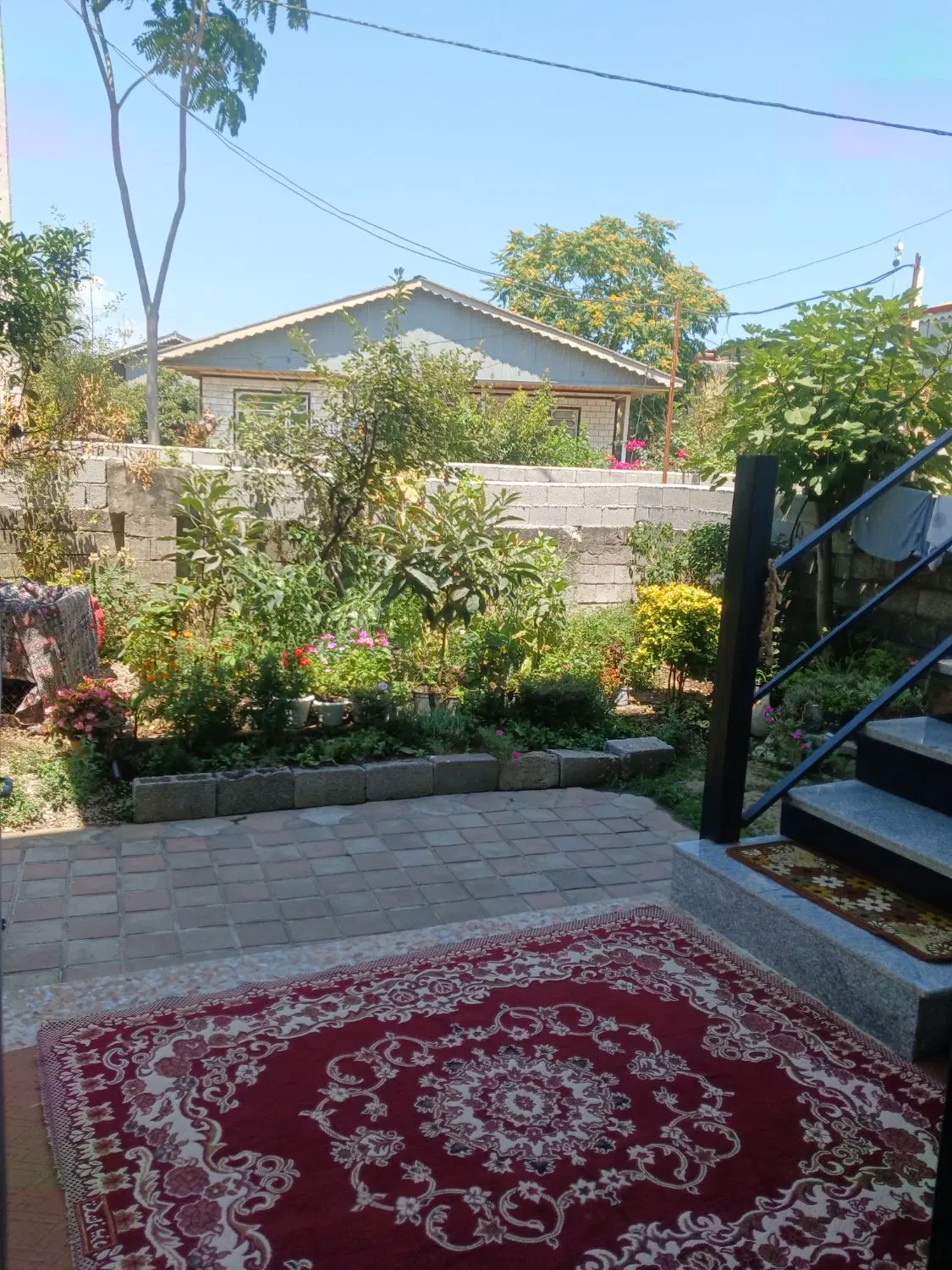 سویت اجاره ای