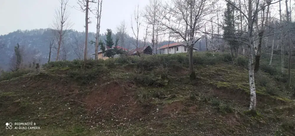 هزارمتر کلنگی جنگلی قلعه رودخان