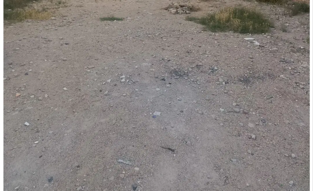فروش دو قطعه زمین مزروعی به متراژ هر قطعه ۳۷۸ متر