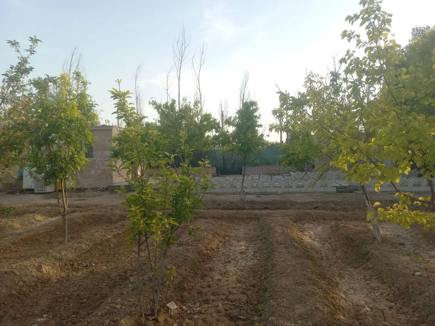 فروش باغ چه