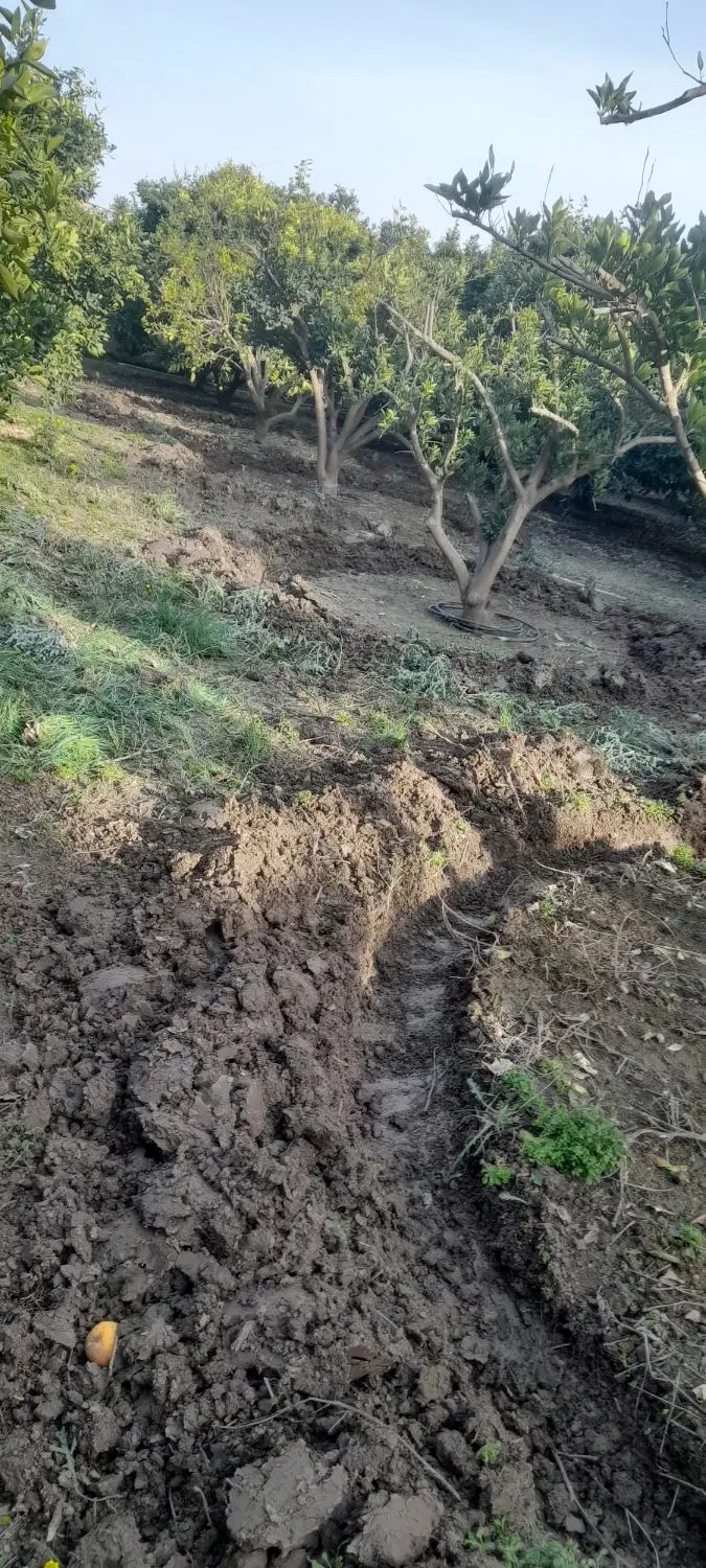 زراعی و کشاورزی